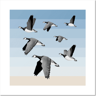 Barnacle goose flock Posters and Art